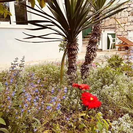 Apartament With Parking Space Zecevo, - 20020