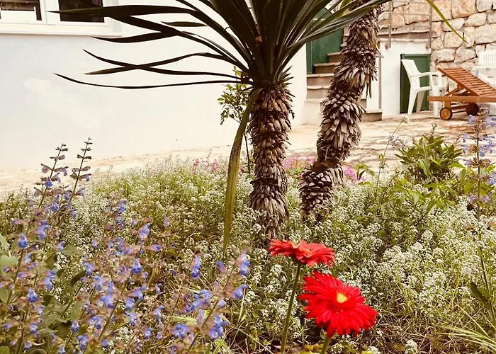 Apartamento With Parking Space Zecevo, - 20020